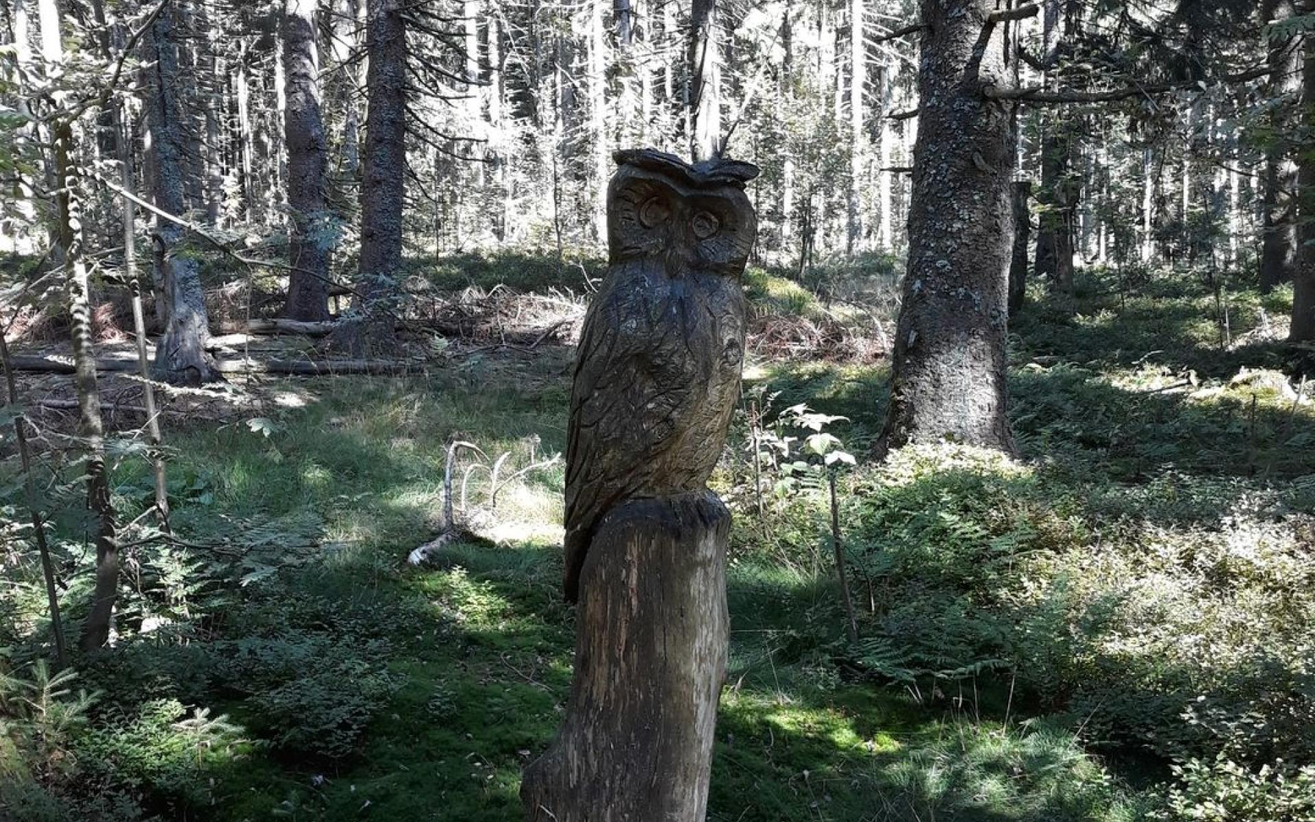 Zauberwald